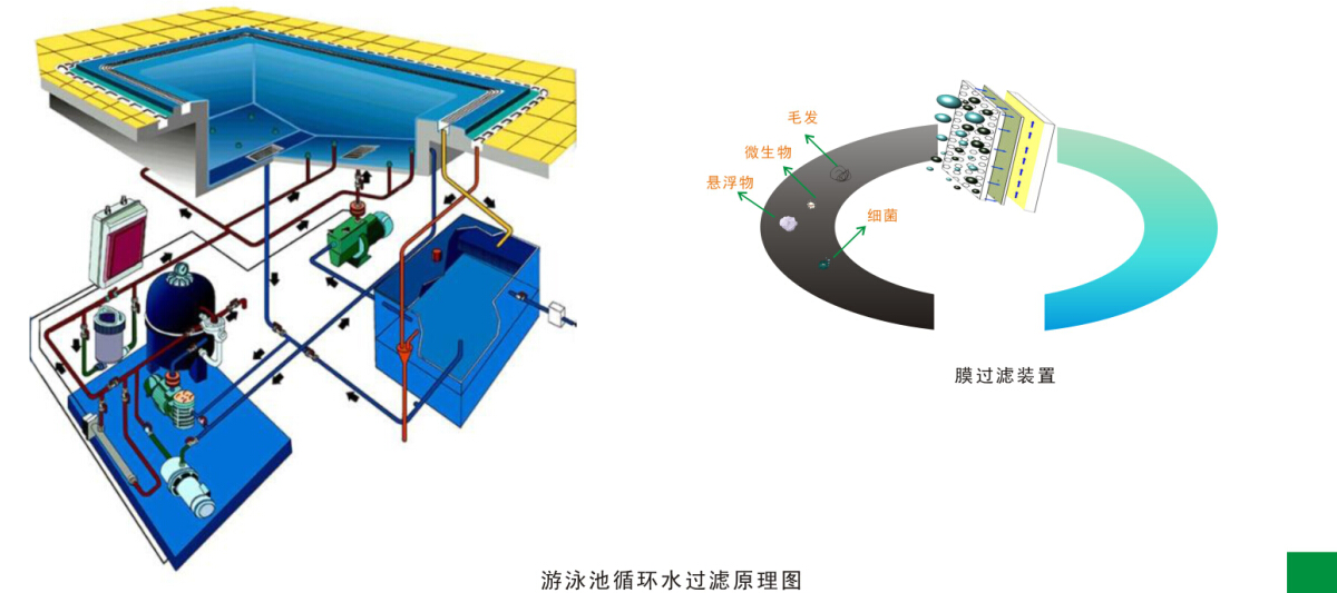 游泳(yǒng)池水循环净化处理工(gōng)程